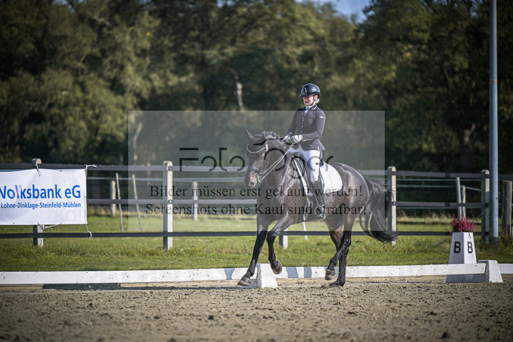 DOS_1389 | Entdecke hochwertige Reitturnierfotos von Foto Oger. Professionell, emotional und authentisch – jetzt Lieblingsmomente im Shop bestellen.Deutschlandweite Turnierfotografie. - Realisiert mit Pictrs.com