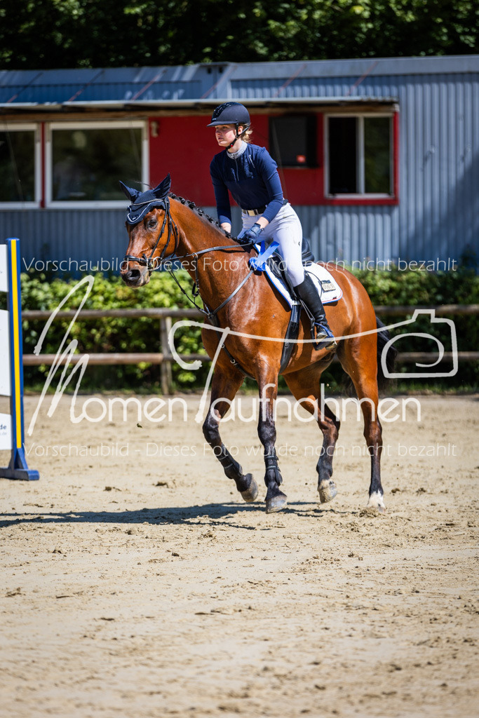 Donop24-L-Spr-061 | MomenTaufnahmen Pferdesportfotos