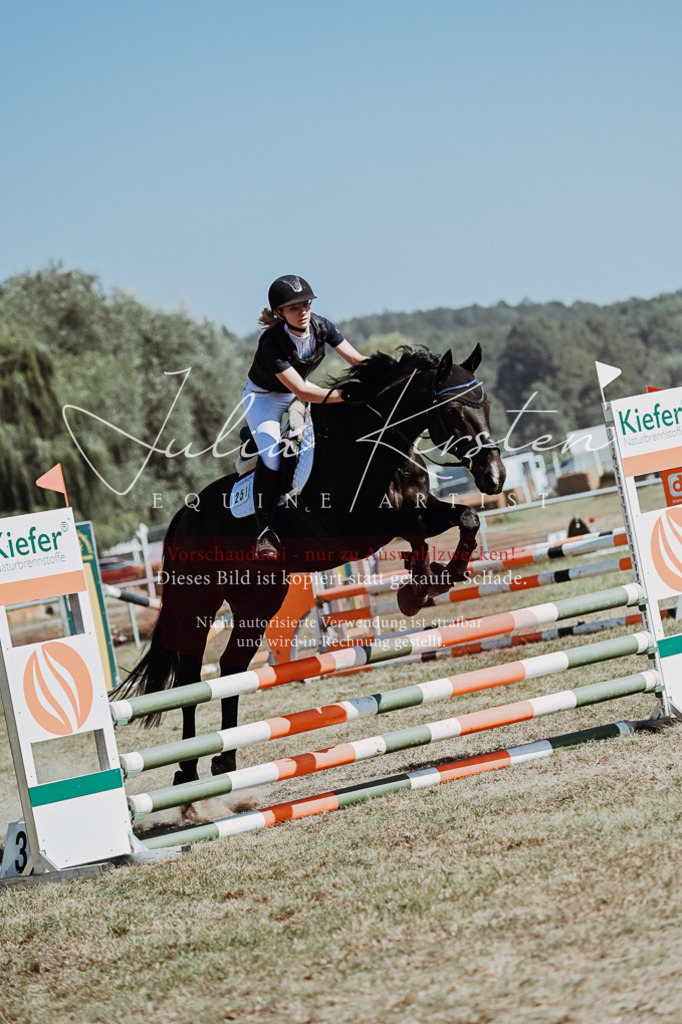 DSC_9707 | Pferde- und Turnierfotografie in Westsachsen. Pferdeportraits, Auftragszeichnungen und intuitive Kunst.