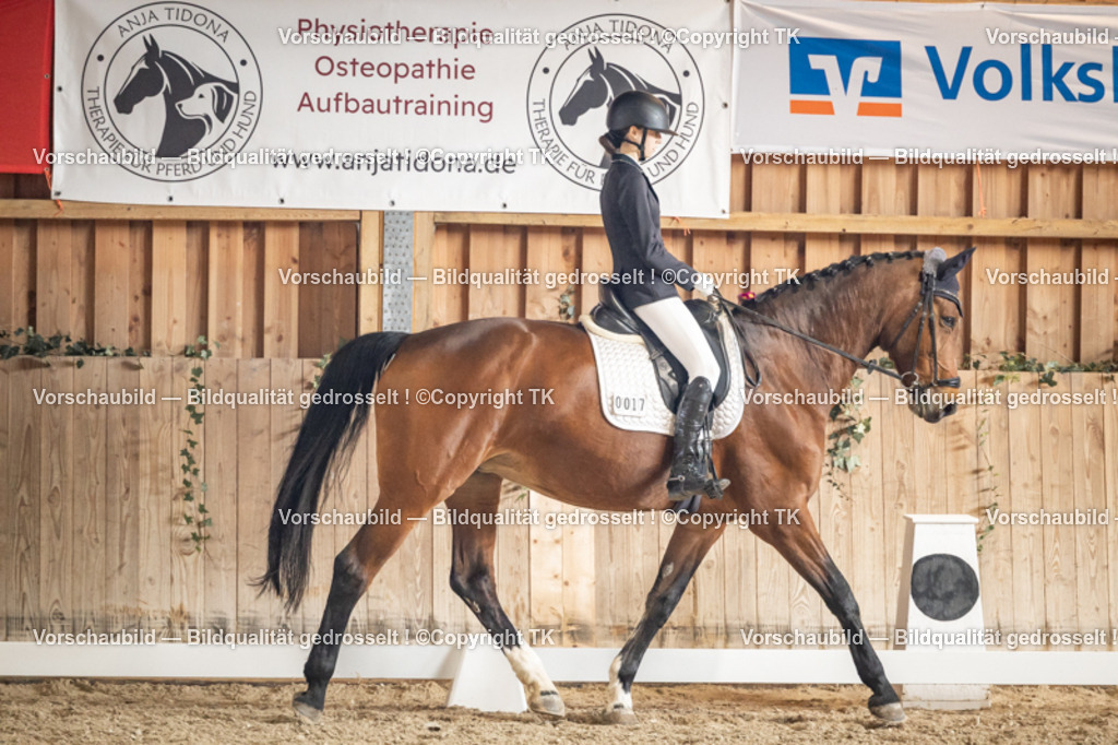 _D5A1343 | Emotionale Pferde- & People-Fotografie rund um Heidelberg, Leimen & Umgebung. Natürliche Fotos von Pferd, Mensch & Familie. Jetzt Termin sichern!