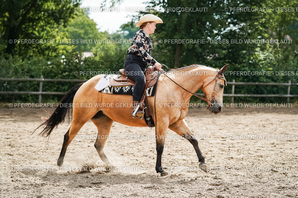 DSC04210 | Pferdegrafie