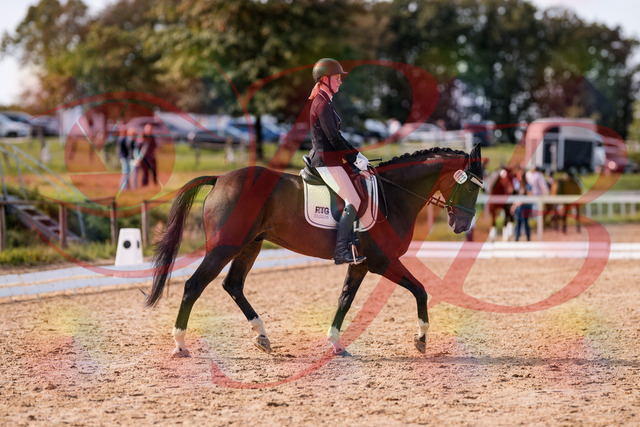 2026_10_03_Siefer-Hof_132532_Z81_76519792 | Professionelle Reitsport-, Turnier- und Eventfotografie von Robert Broda. Galerien mit ausgewählten und bearbeiteten Bildern direkt online ansehen und bestellen.