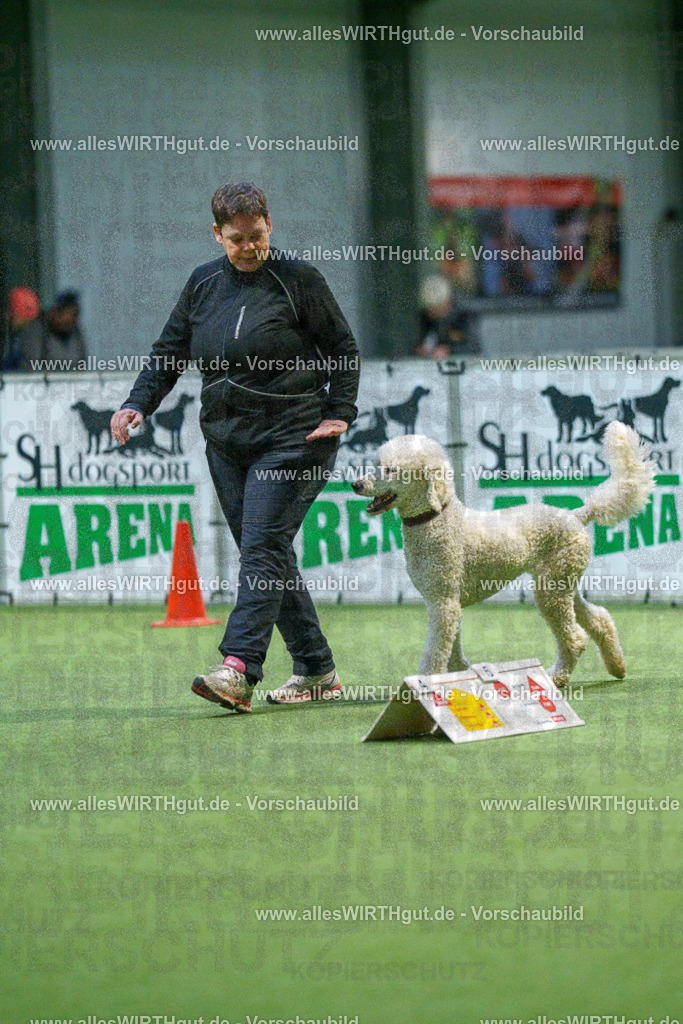 7R509907 | Professionelle Tierfotografie in Mönchengladbach von Daniel Wirth (allesWIRTHgut). Liebevolle & natürliche Bilder von Hunden & Katzen für unvergessliche Erinnerungen.