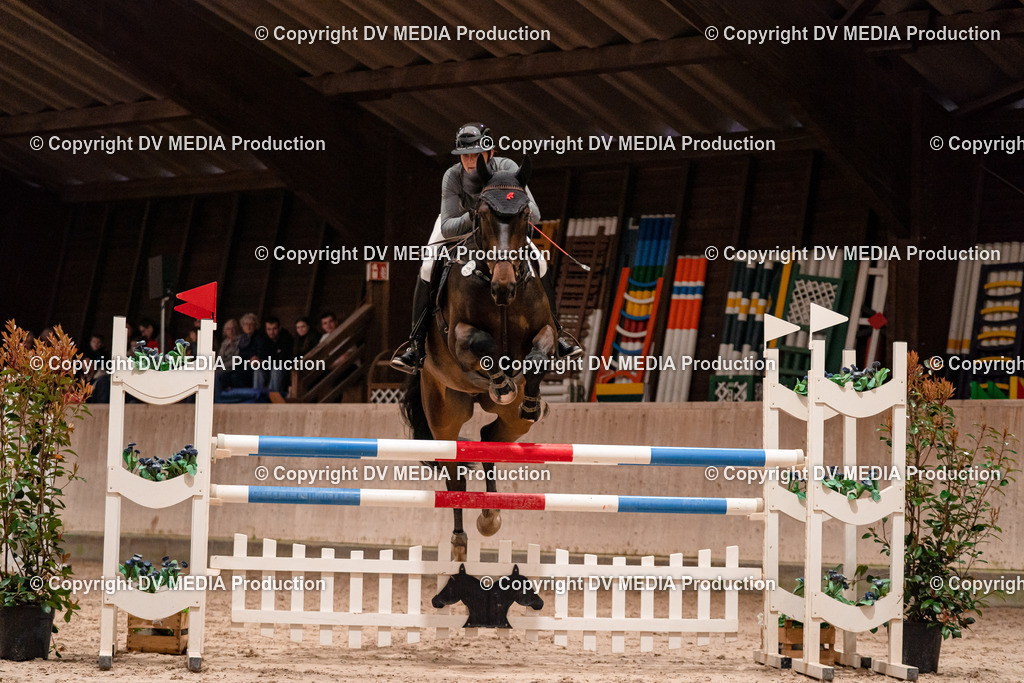 Springen Tag 2-786 | dv-media-shop - Realisiert mit Pictrs.com