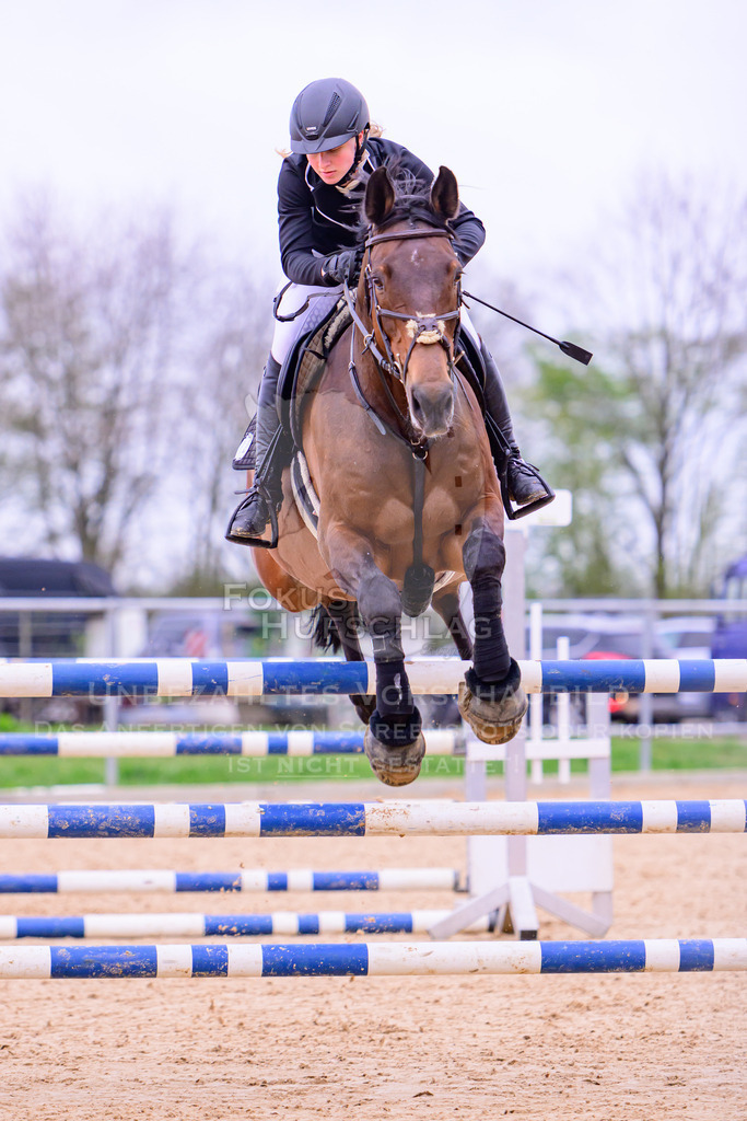 12042026-Mammendorf-Prfg44-0090 | Fokus Hufschlag Fotografie - Realisiert mit Pictrs.com