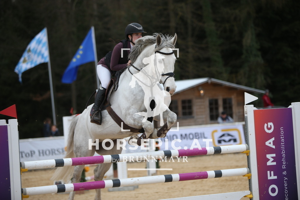 AS8V7689 | Willkommen bei Brunnmayr - Design & Fotografie – Ihrem Spezialisten für Reitturniere und Pferdeveranstaltungen in Oberösterreich, Salzburg und Bayern! Seit über 17 Jahren sind wir leidenschaftlich dabei.