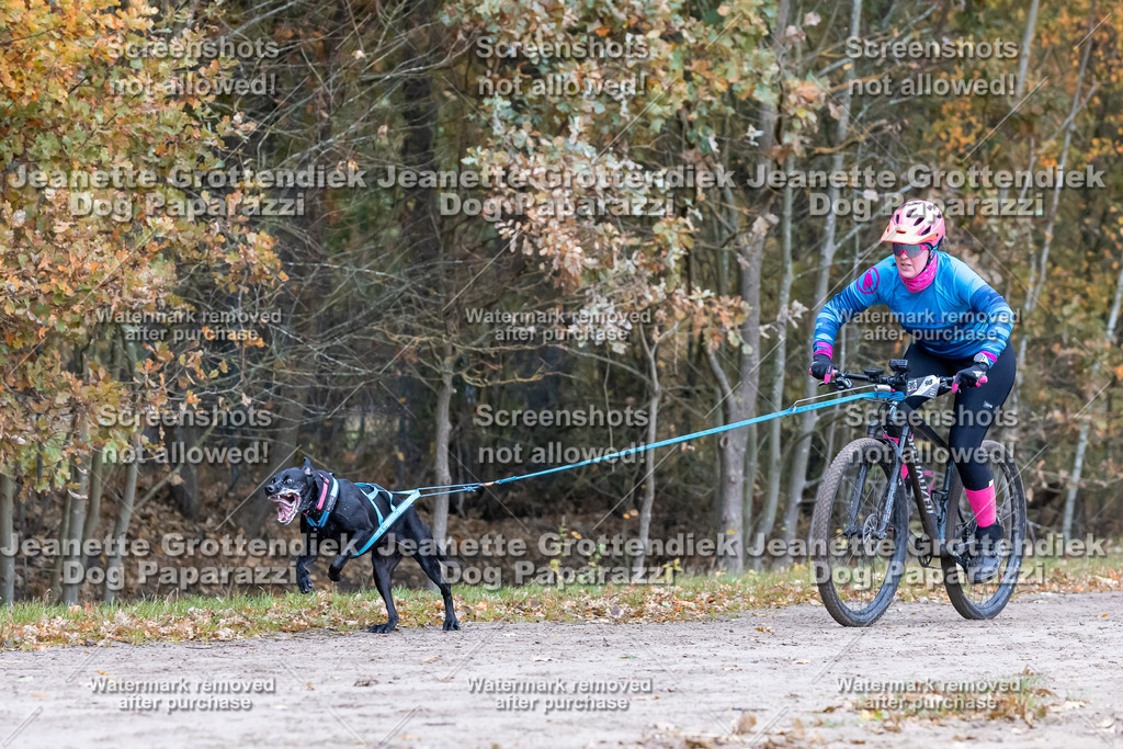 Dog Paparazzi - SD CaniX Championship 2025-206 | Dog Paparazzi Jeanette Grottendiek Fotografie & Videografie