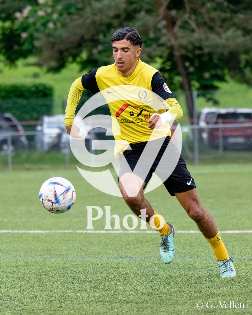 DSC_1997 | Velletri Photo