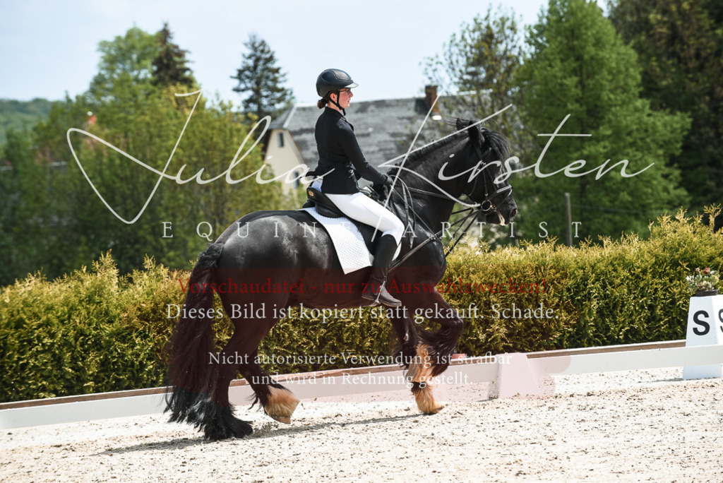 20230518_JK-Röhrsdorf-11-0289 | Pferde- und Turnierfotografie in Westsachsen. Pferdeportraits, Auftragszeichnungen und intuitive Kunst.