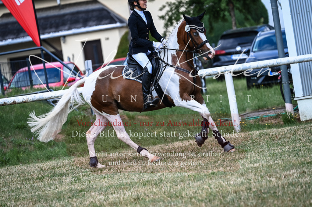 DSC_8537 | Pferde- und Turnierfotografie in Westsachsen. Pferdeportraits, Auftragszeichnungen und intuitive Kunst.