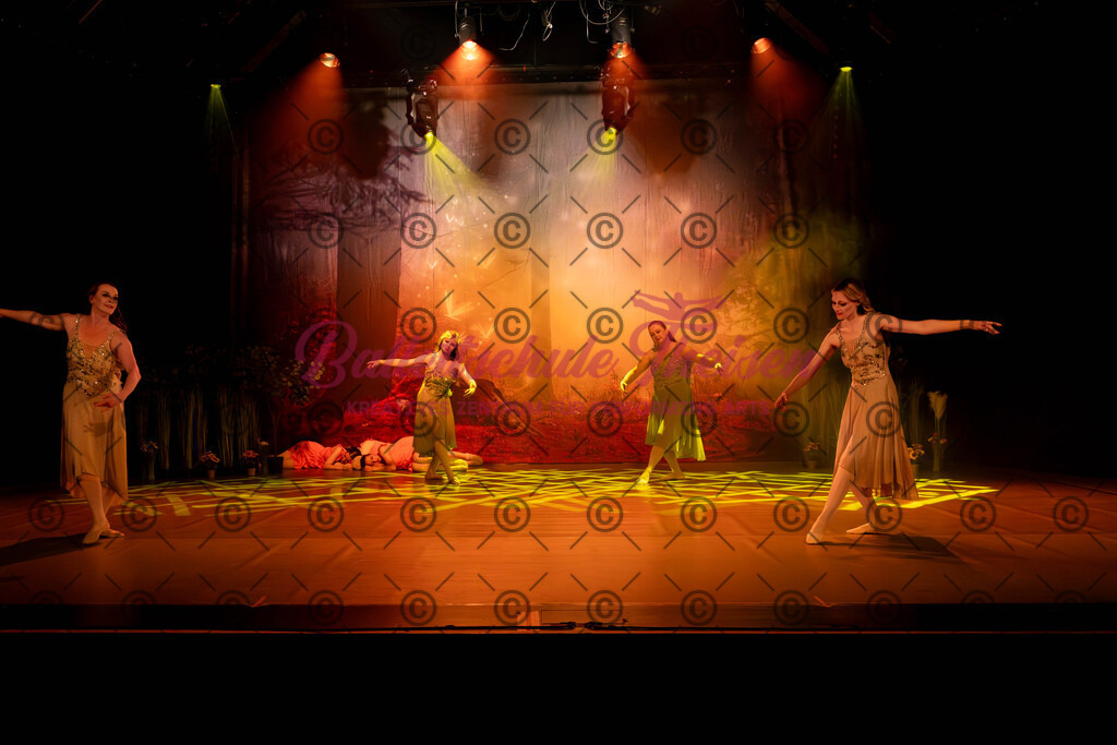 Ballettaufführung-546 | Bildershop Lem'n Entertainment - Realisiert mit Pictrs.com