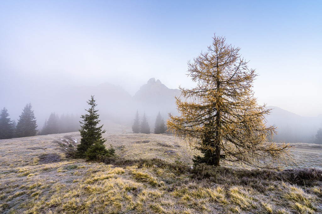 Herbststimmung bei der Mödlingerhütte | walter-wagner-fotografie