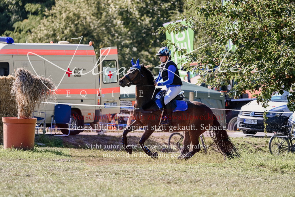 DSC_3124 | Pferde- und Turnierfotografie in Westsachsen. Pferdeportraits, Auftragszeichnungen und intuitive Kunst.
