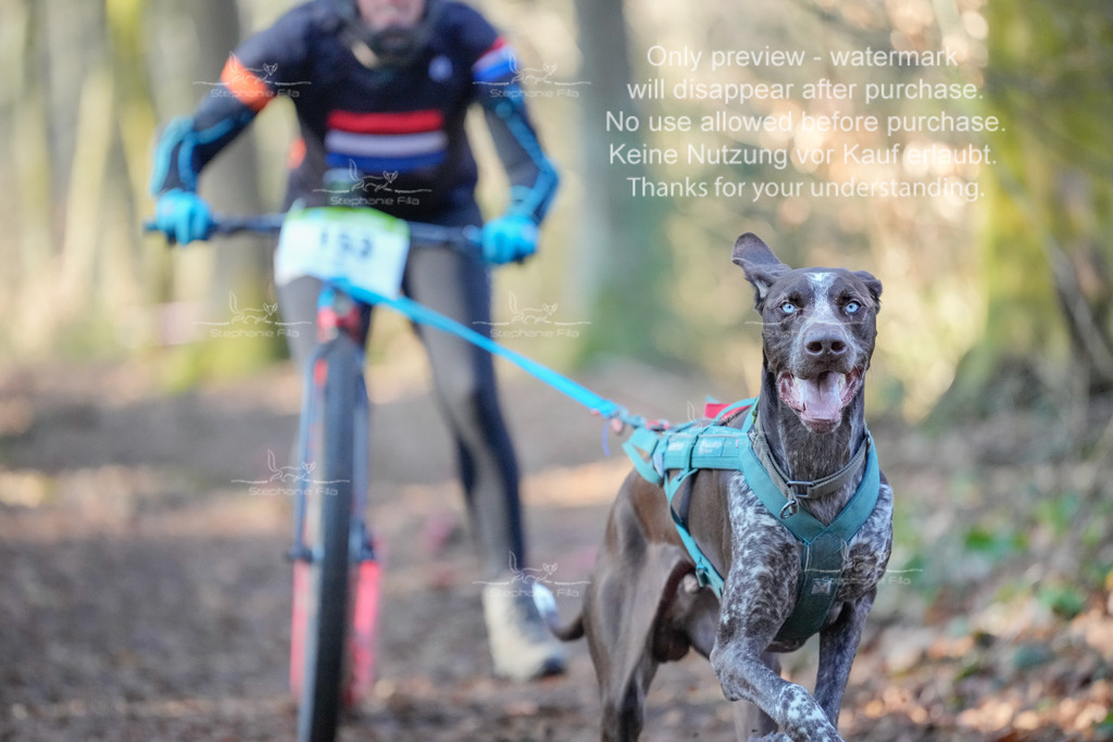 Scooter_So_So-1 | stephaniefillaphotographie - Realisiert mit Pictrs.com