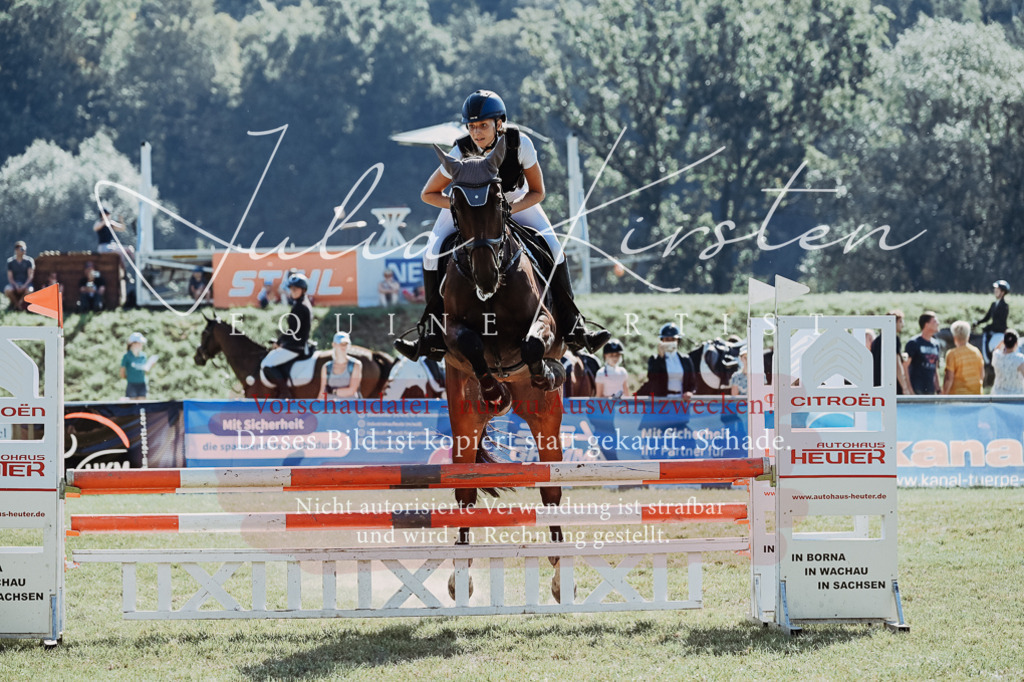DSC_5595 | Pferde- und Turnierfotografie in Westsachsen. Pferdeportraits, Auftragszeichnungen und intuitive Kunst.