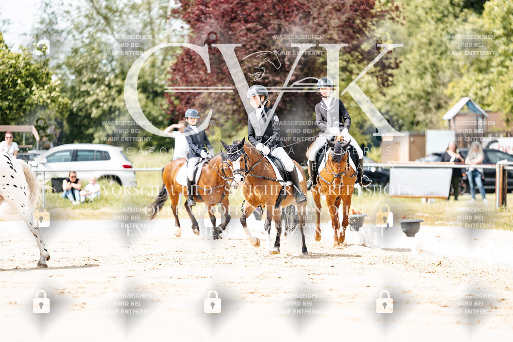 CK901724 | Turnierfotografie Pferdefotografie Trier Rheinland-Pfalz Pferdesport Reitsport Tierfotografie Sportfotografie Pferdevideo Pferdevideografie Equestrianvideography equestrianphotography  - Realisiert mit Pictrs.com