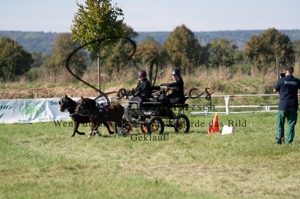 A7V04385 | Pferdefotograf