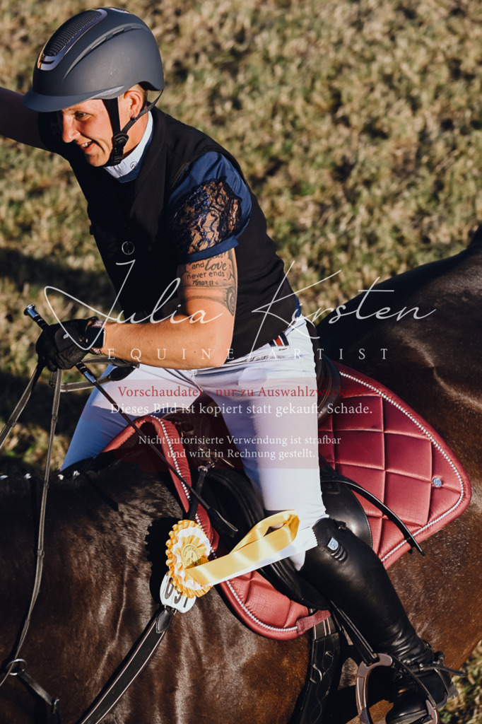 DSC_3306 | Pferde- und Turnierfotografie in Westsachsen. Pferdeportraits, Auftragszeichnungen und intuitive Kunst.