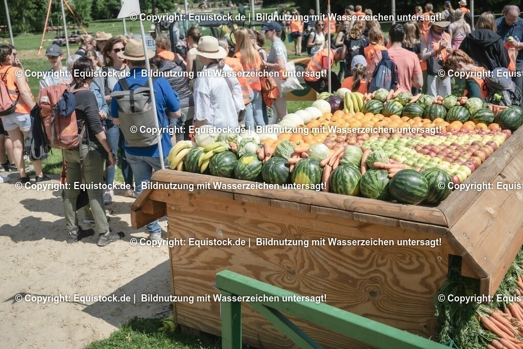 ZFC_3981 | equistock