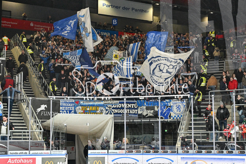 Augsburger Panther - ERC Ingolstadt | Die FAns aus Ingolstadt feiern den Sieg in Augsburg / DEL: Augsburger Panther - ERC Ingolstadt, Curt Frenzel Stadion am 26.01.2025