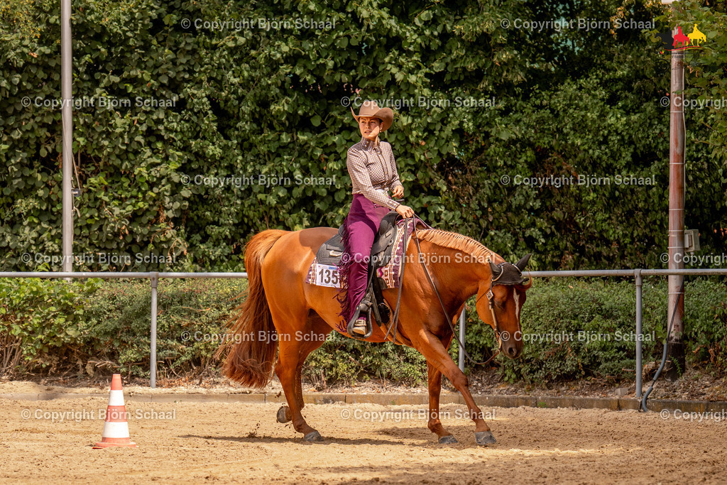 LMS06905 | BS-foto