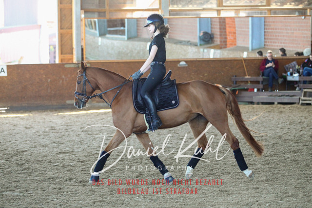 DKP42468 | Turniersportfotografie; Pferdefotografie; Dressurfotografie