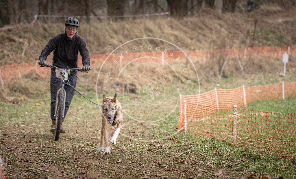Pfotenfotografie_DV3A6647 | Hundefotografie, Tierfotograf, Pfotenfotografie, Fotoshooting Hund, Hunde Portrait, Hundesport, Hundeportraits, Heideshooting, Hunde, Sportfotograf, Hundefotograf, Turnierhundsport, THS,  - Realisiert mit Pictrs.com