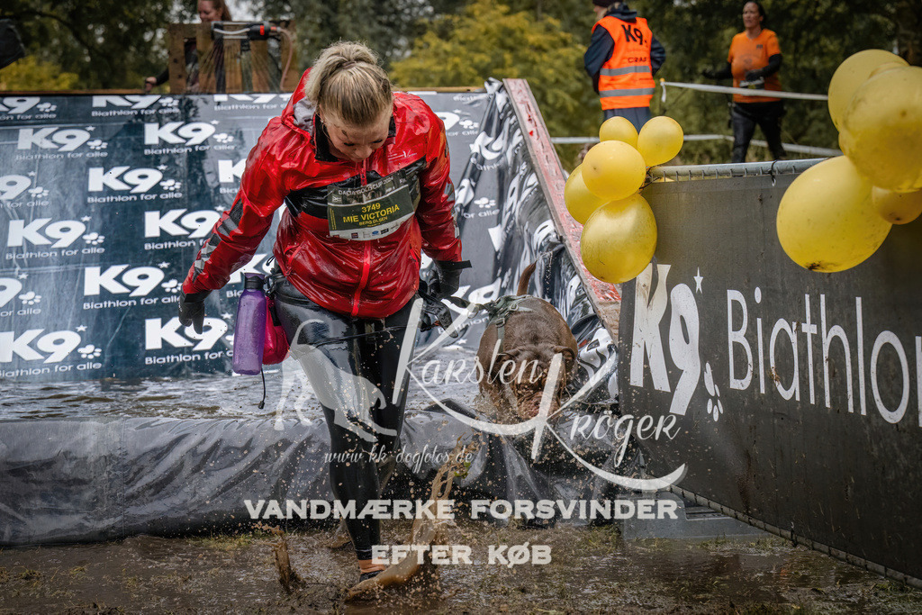 1237_ZZ90306 | kk-dogfotos
