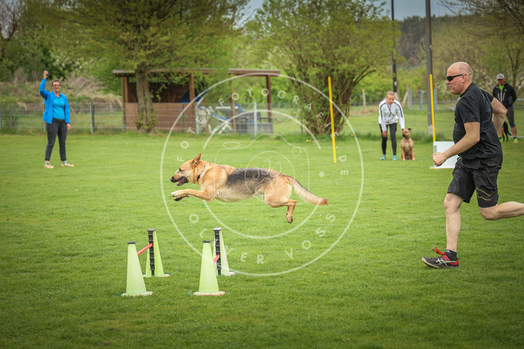 Pfotenfotografie_0L8A9463 | Hundefotografie, Tierfotograf, Pfotenfotografie, Fotoshooting Hund, Hunde Portrait, Hundesport, Hundeportraits, Heideshooting, Hunde, Sportfotograf, Hundefotograf, Turnierhundsport, THS,  - Realisiert mit Pictrs.com