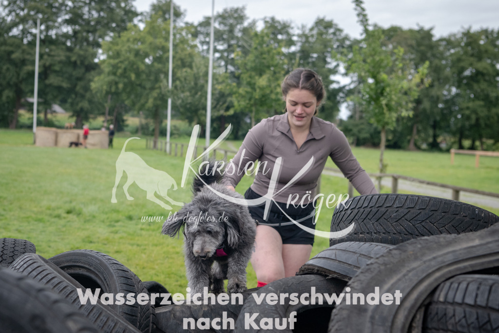 1250_ZZ92473 | kk-dogfotos