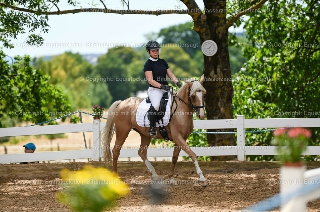 20230715_09_Dressur-WB_0530 | equistock
