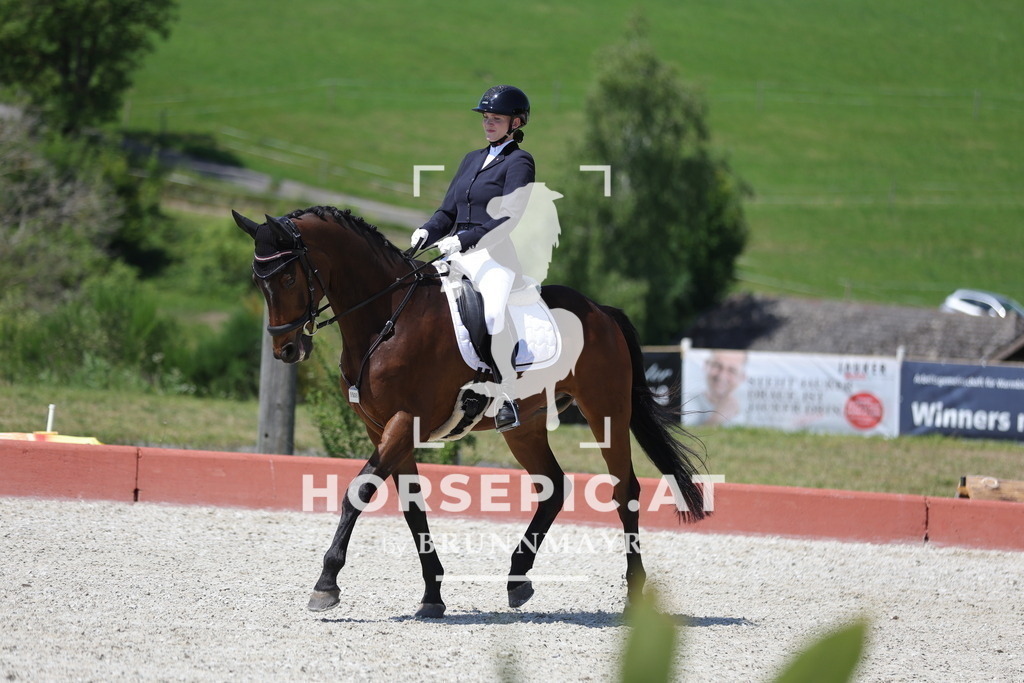 0P6A0709 | Willkommen bei Brunnmayr - Design & Fotografie – Ihrem Spezialisten für Reitturniere und Pferdeveranstaltungen in Oberösterreich, Salzburg und Bayern! Seit über 17 Jahren sind wir leidenschaftlich dabei.