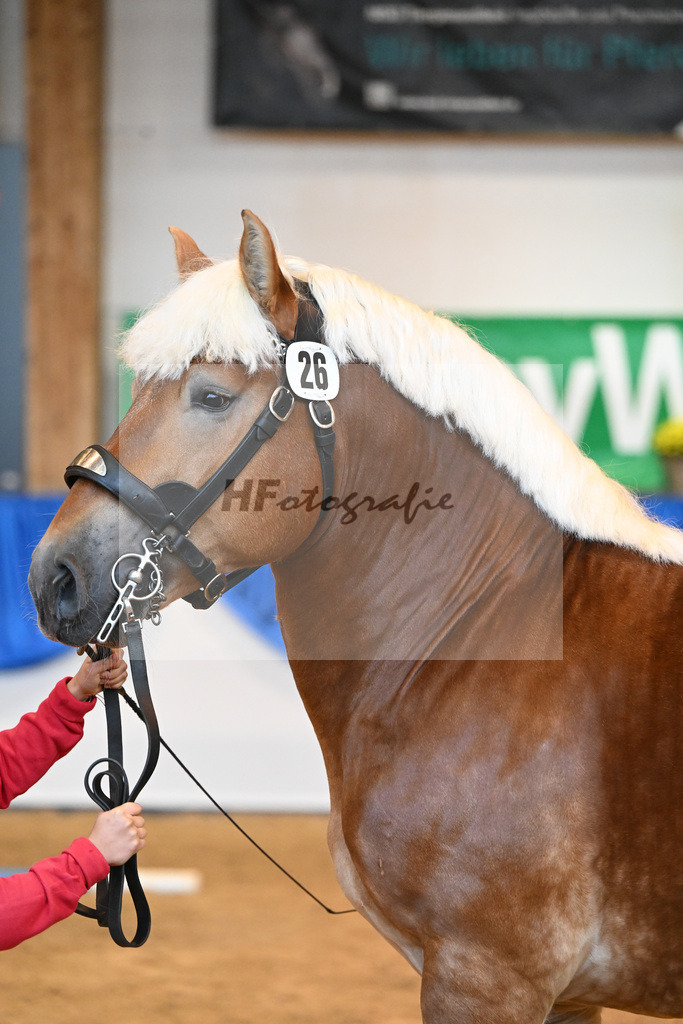 Kat-Nr. 26 Hennes Gold_Dechert_53221117 | hf-fotografie - Realizzato con Pictrs.com