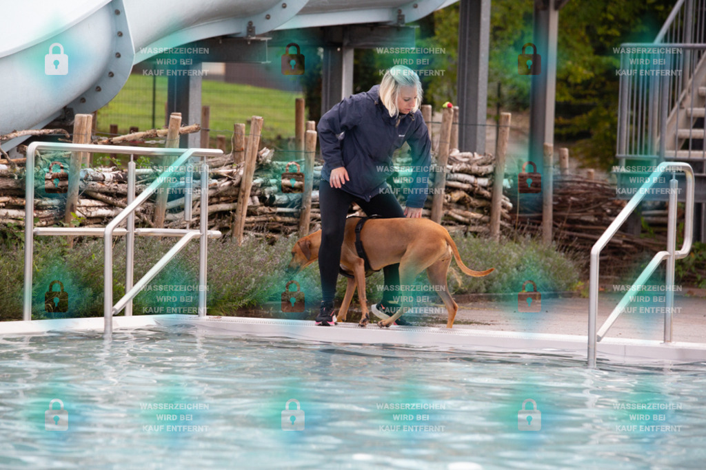 _HP_7534_1000o | HetPix, HetPix Fotodesign, Fotografie, Fotodesign, Webshop, Sportfotografie, Portraitfotografie, Onlineshop, Sportfotografie, Polch, Motorsportfotografie, Eventfotografie