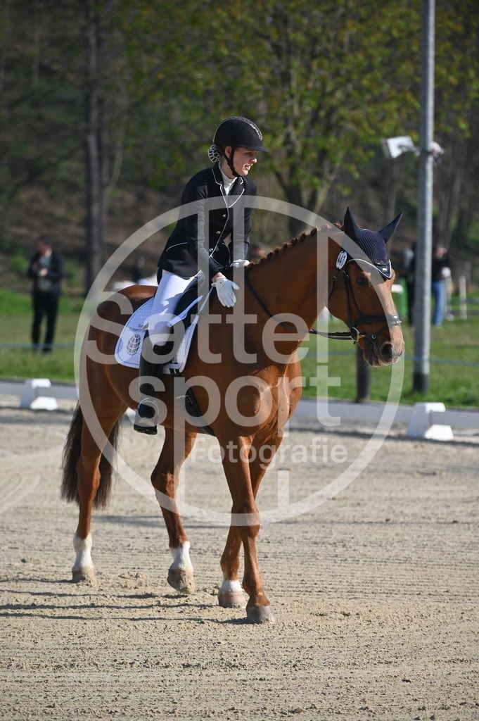 DSC_9930 | sattelsport - Realisiert mit Pictrs.com