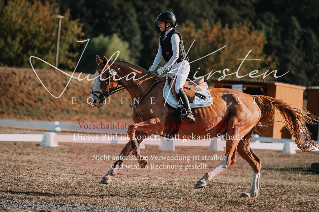 DSC_9130 | Pferde- und Turnierfotografie in Westsachsen. Pferdeportraits, Auftragszeichnungen und intuitive Kunst.