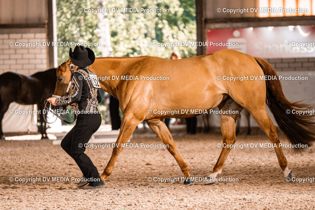 ZH100057 | dv-media-shop - Realisiert mit Pictrs.com