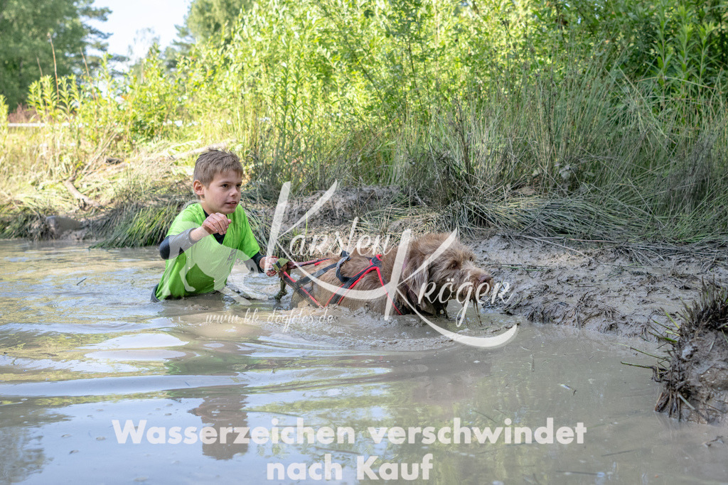 0908_ZZ90868 | kk-dogfotos