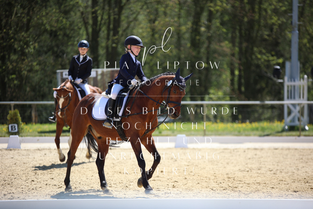 IMGT0820 | pl-fotografie