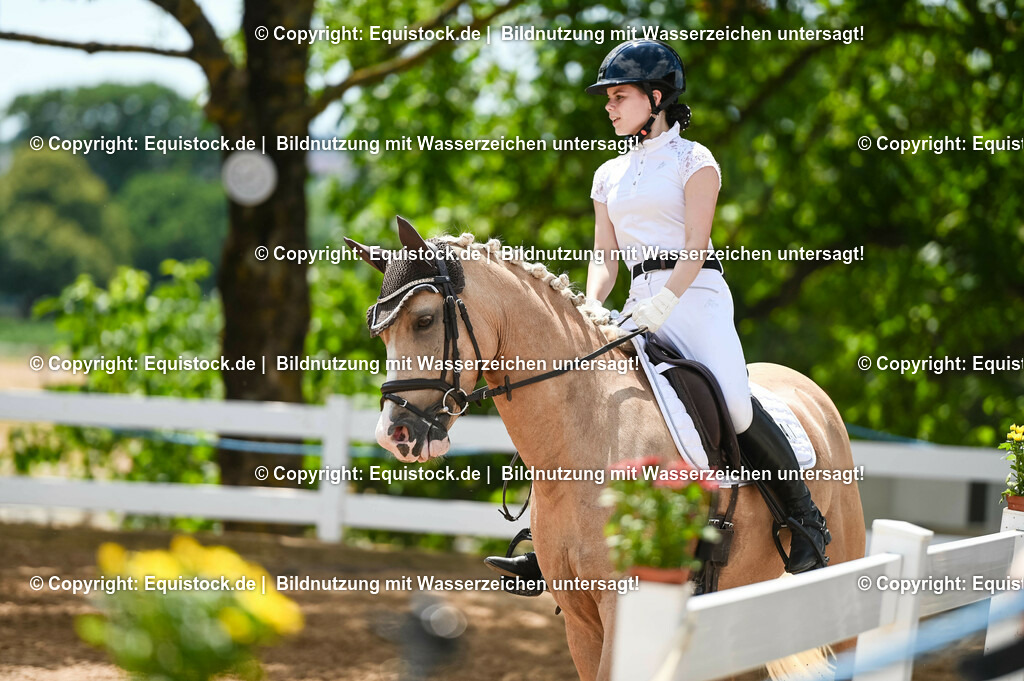 20230715_09_Dressur-WB_0475 | equistock