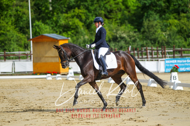 DKP45537 | Turniersportfotografie; Pferdefotografie; Dressurfotografie