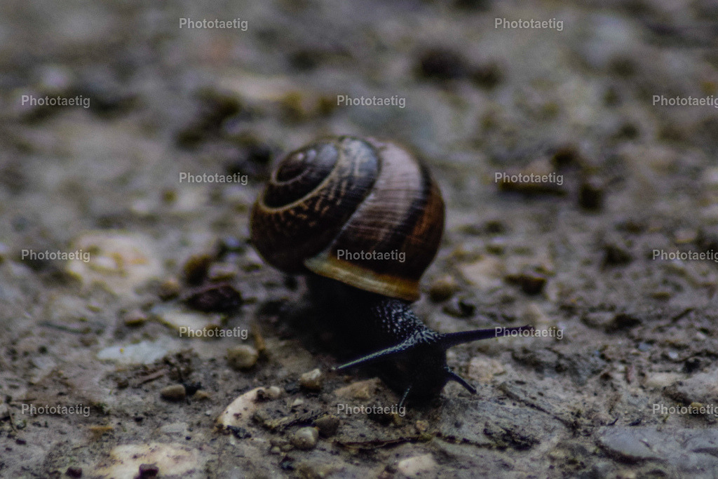 IMG_3308 | phototaetig