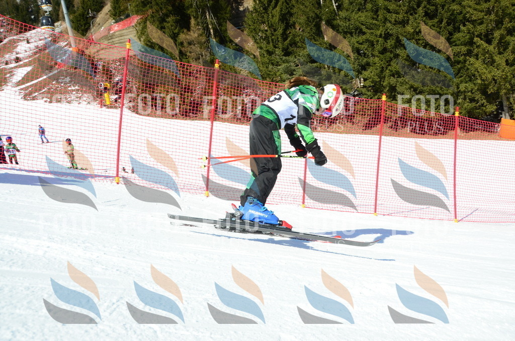 C5774 | holidayphoto