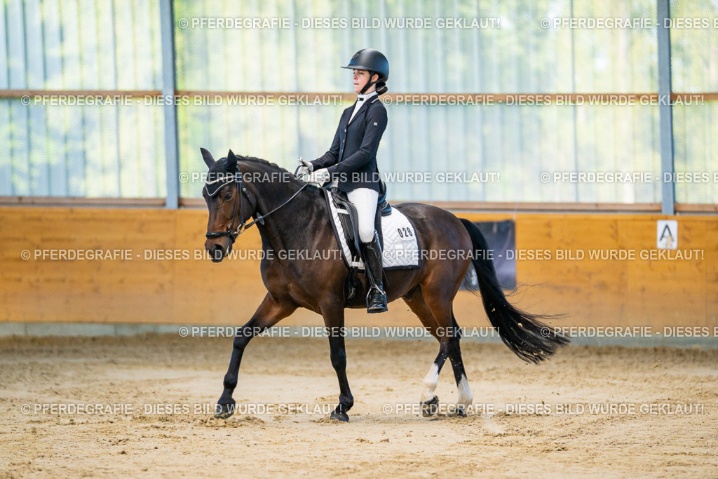 DSC06106 | Pferdegrafie