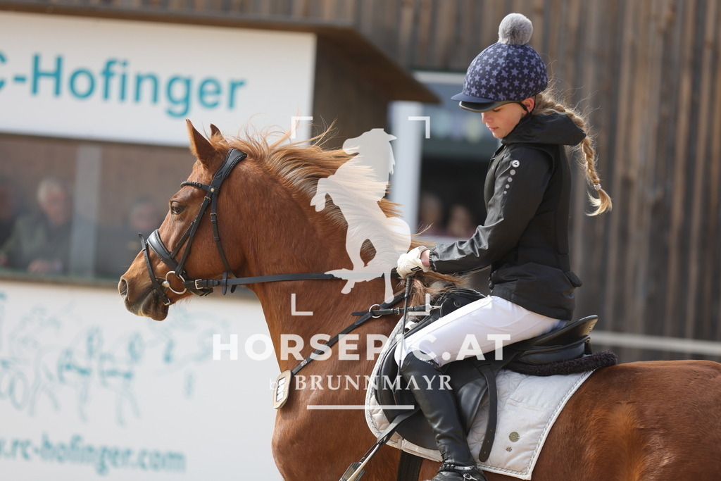 0P6A9222 | Willkommen bei Brunnmayr - Design & Fotografie – Ihrem Spezialisten für Reitturniere und Pferdeveranstaltungen in Oberösterreich, Salzburg und Bayern! Seit über 17 Jahren sind wir leidenschaftlich dabei.