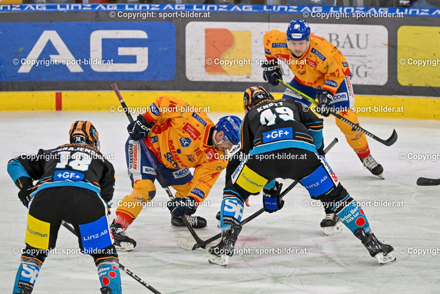 AUT, ICE, Black Wings Linz (AUT) vs Asiago Hockey (ITA) | 17.11.2024, Eishalle Linz, AUT, ICE Eishockey Liga, Black Wings Linz (AUT) vs Asiago Hockey (ITA), im Bild Ken Ograjensek of Steinbach Black Wings Linz, Michele Stevan of Migross Supermercati Asiago Hockey, Graham Knott of Steinbach Black Wings Linz, Matthew Ronald Cairns of Migross Supermercati Asiago Hockey// ICE win2day Hockey League Match between Black Wings Linz (AUT) vs Asiago Hockey (ITA) in Linz, Austria on 2024/11/17