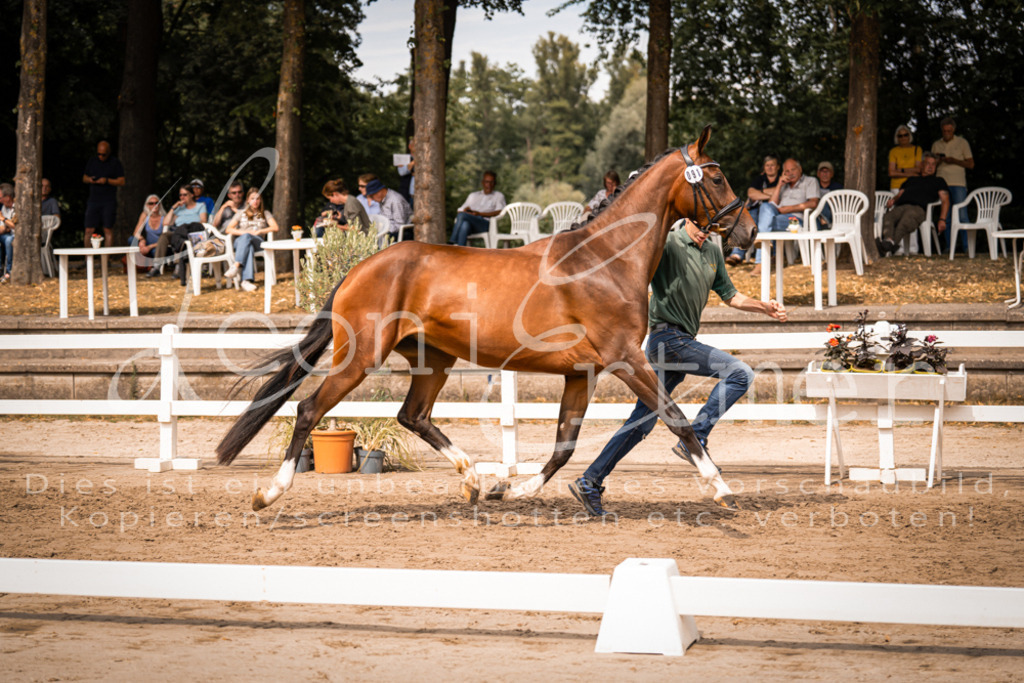 6.Fr00096 | Leoni Ertmer Photography - Realisiert mit Pictrs.com