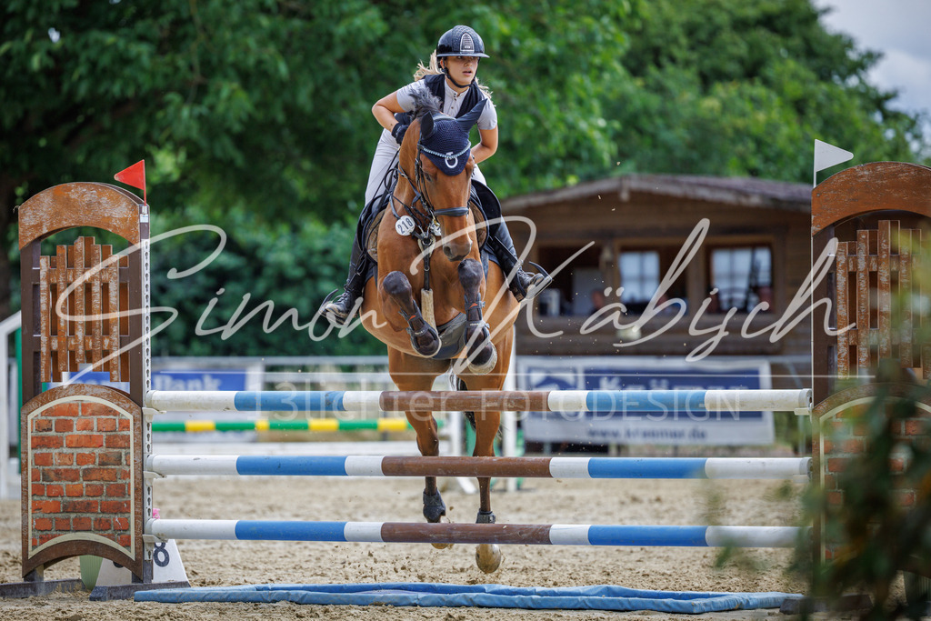 20260705-_3LI6049 | Tierfotografie Pferde, Hunde, Katzen, Haustiere.
Turnierfotografie Reitturniere, Reiten, Springreiten, Dressur in Hanau, dem Main-Kinzig-Kreis und dem Rhein-Main- Gebiet um Frankfurt