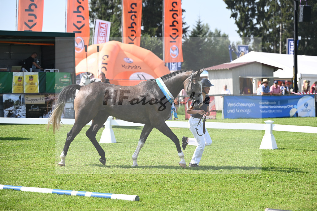 Kat-Nr. 14 nn v. Manchester vant Paradijs_Schreder_34240417 | hf-fotografie - Realisiert mit Pictrs.com