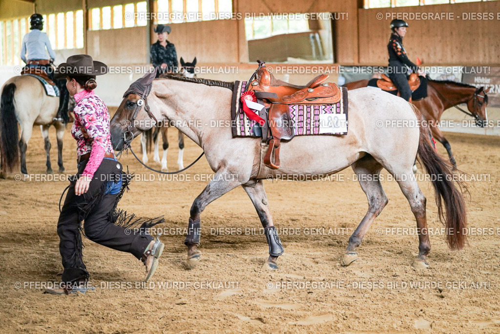 DSC05821 | Pferdegrafie